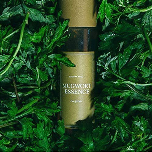 Mugwort Essence 5.4 Fl Oz