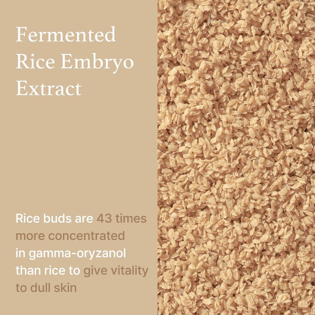 I'm from Rice Serum, 73% Fermented Rice Embryo Extract | Improve Hyperpigmentation, Boost Collagen, Vitality, Supply nutrients to skin with Vitamin B, Healthy Glow